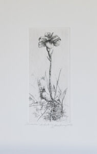 Primavera